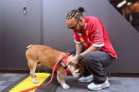 Lewis Hamilton y Roscoe.